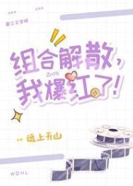 组合解散我爆红了晋江文学城